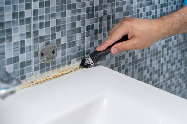 Mold Removal Process in Kendall West, FL